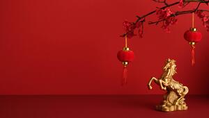 Das Jahr des Feuerpferdes