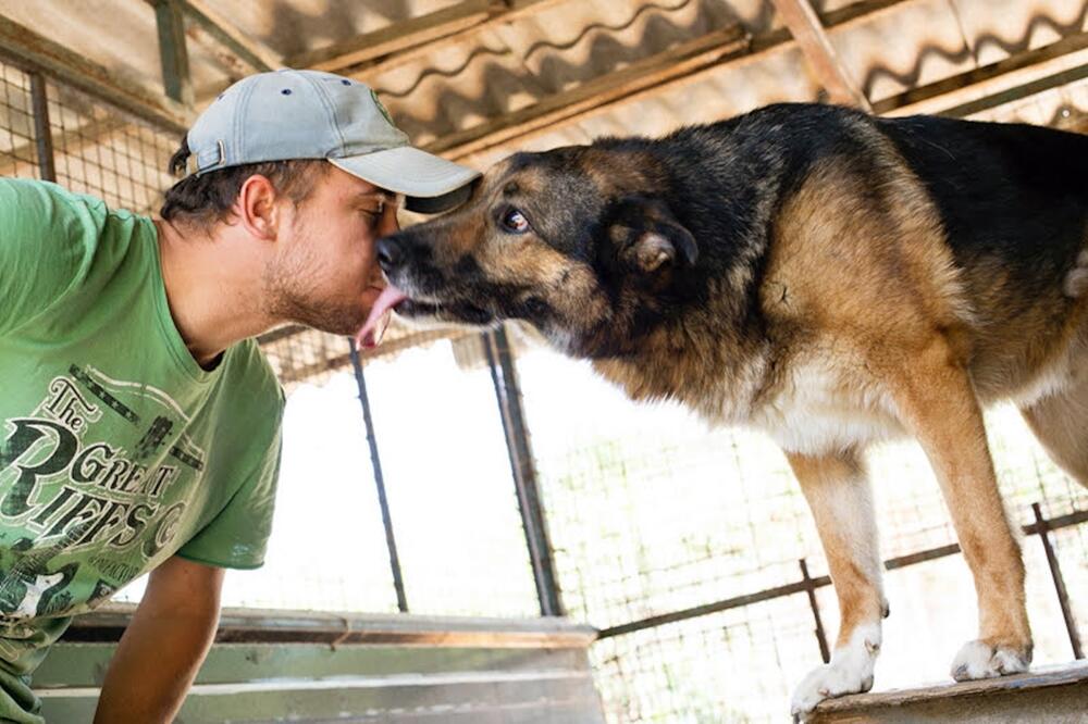 Alte Tiere haben es schwer adoptiert zu werden.