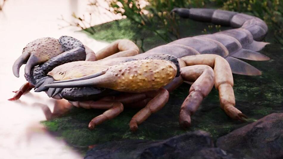 415 Millionen Jahre alter Urzeit-Skorpion war größer als Schäferhund