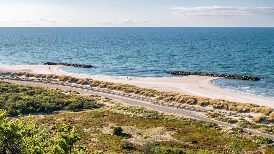 Toter Wal vor dänischer Insel entdeckt
