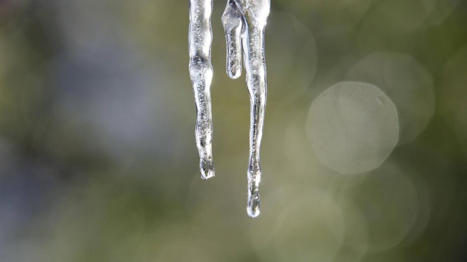 Tauende Eiszapfen