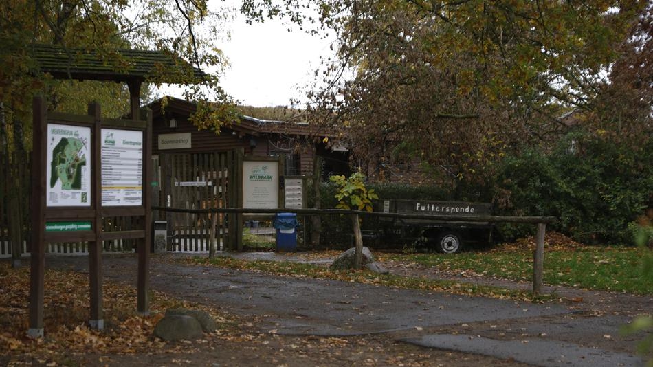 Neue Details zum Wolfsangriff – Behörden prüfen Wildpark