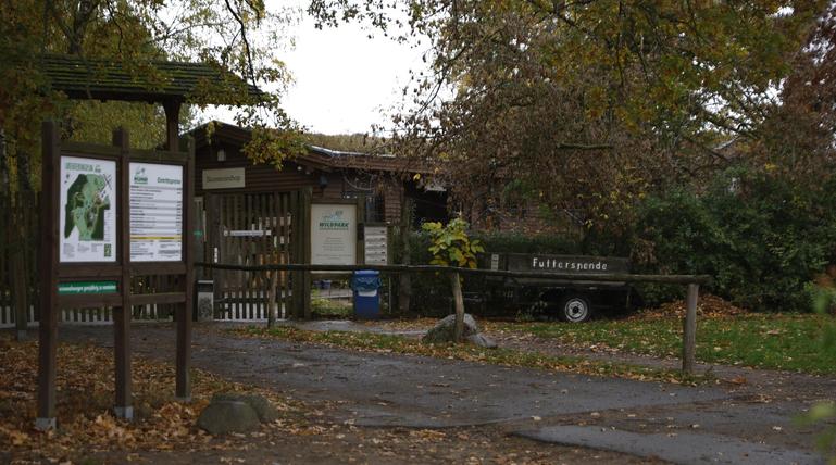 Wolf soll Kind im Wildpark Johannismühle angegriffen haben