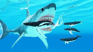 Megalodon 