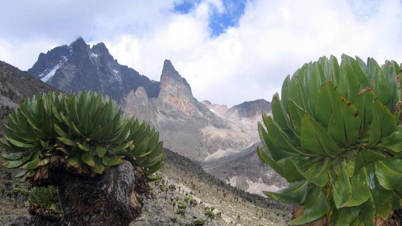 Mount Kenya