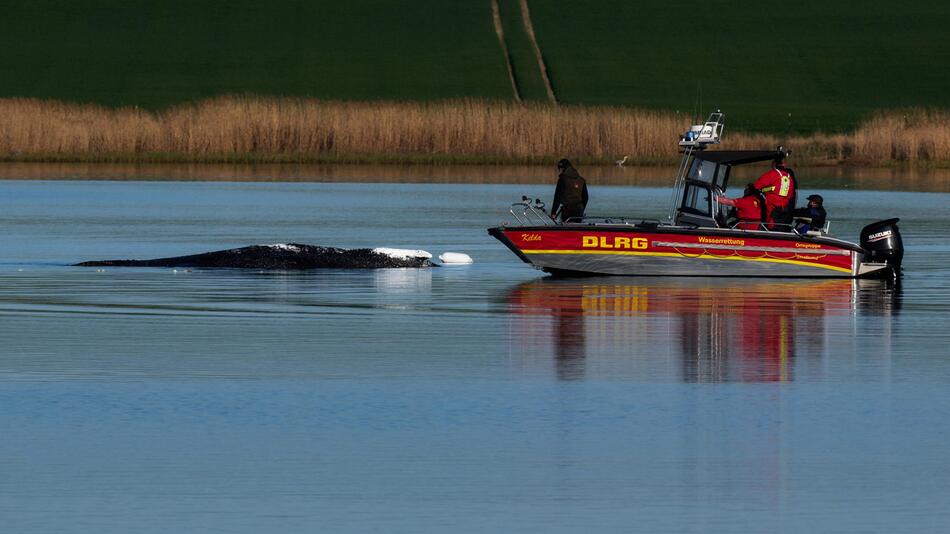 Grünes Licht für neuen Rettungsplan