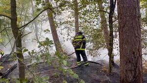 Waldbrände in mehreren Regionen – wo es in Deutschland gerade brennt