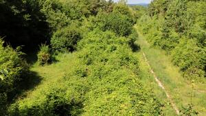 Wanderweg auf der alten A4