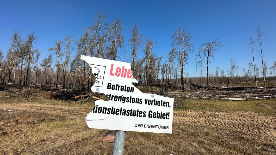 Waldbrandgebiet bei Lübtheen