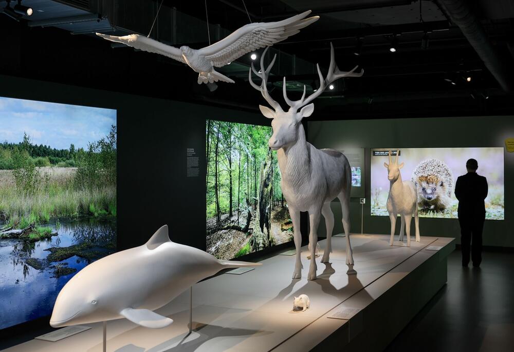 Viele Besucher in der "Botschaft der Wildtiere" in der Hafencity