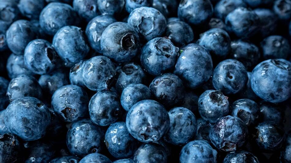 "Klare Fälle von Lebensmittelbetrug": Heidelbeeren sind oft gefälscht