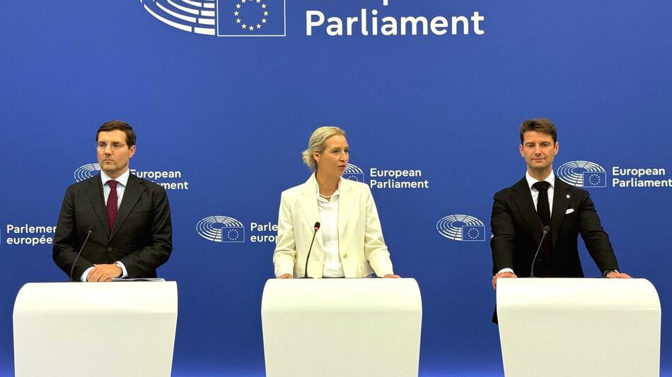 AfD will EU komplett umbauen