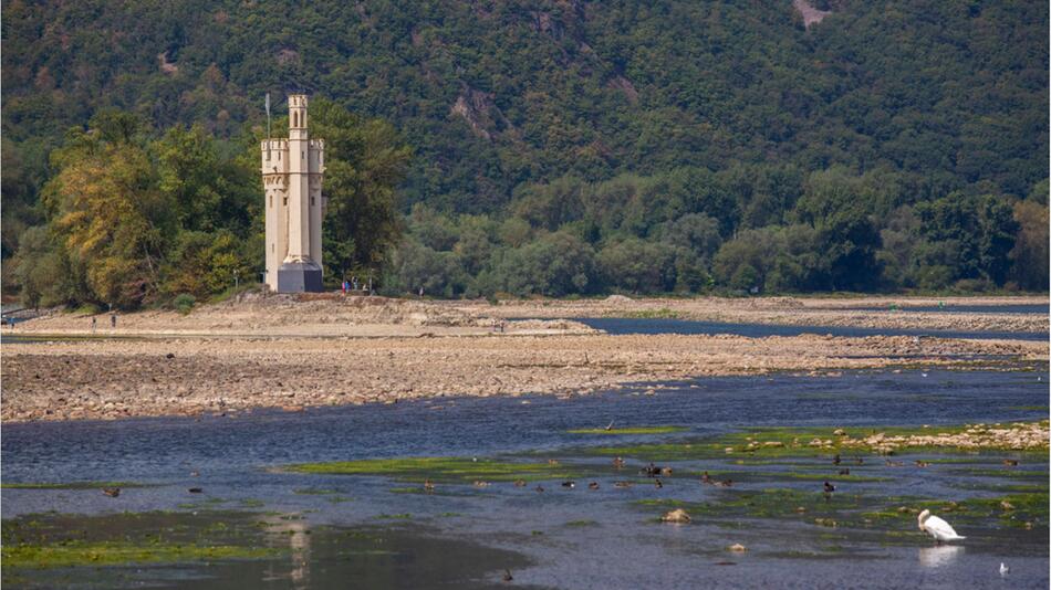 Immer mehr Flüsse und Seen in Deutschland führen nur noch Niedrigwasser