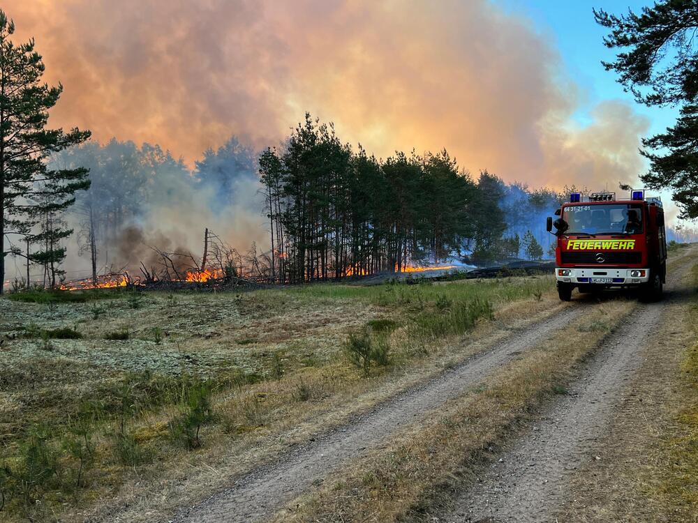 Links brennt der Wald, rechts ein Feuerwehrfahrzeug.