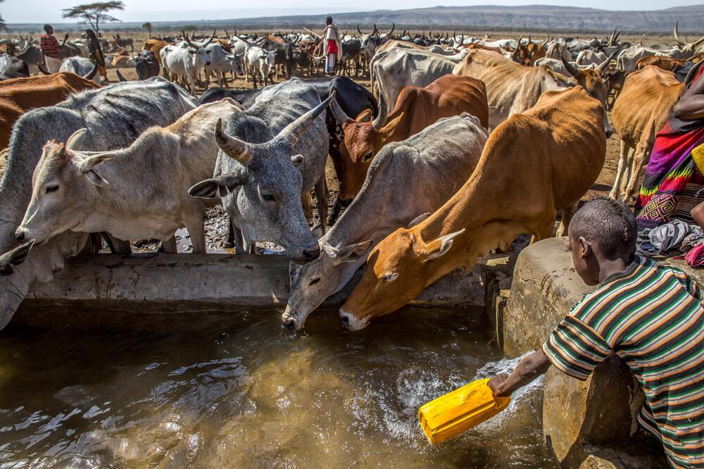 United Internet for UNICEF, UNICEF, El Nino