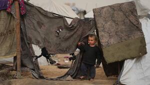 UNICEF: Waffenruhe in Gaza für Kinder "tödliche Illusion"