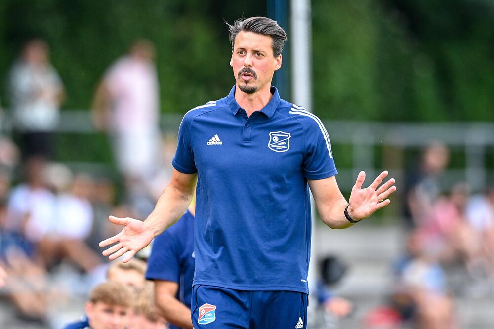 Sandro Wagner