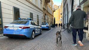 Hunde in Bozen