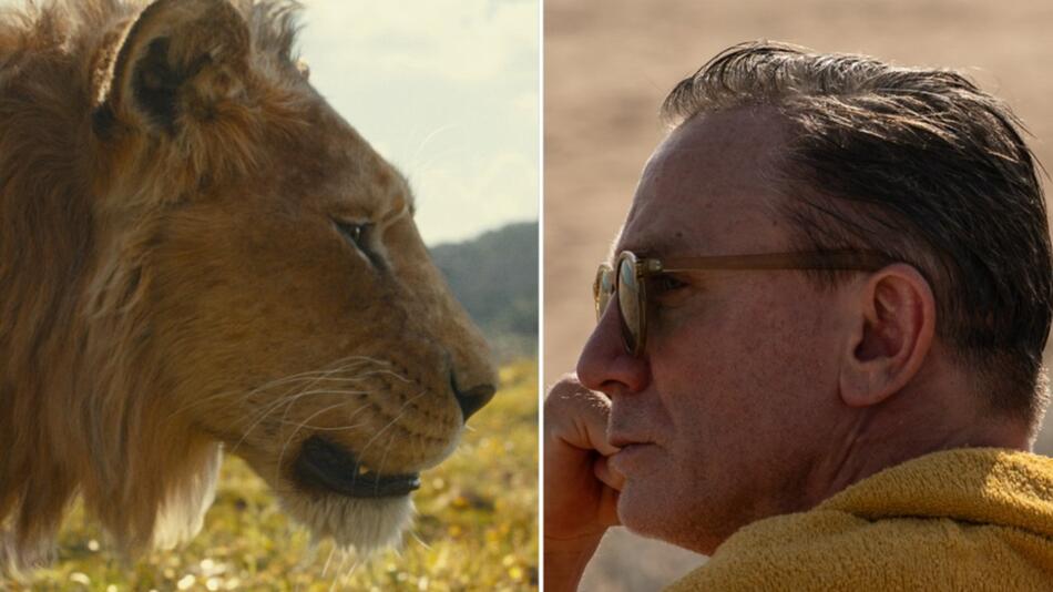 "Mufasa: Der König er Löwen" trifft im Dezember auf Daniel Craig in "Queer".