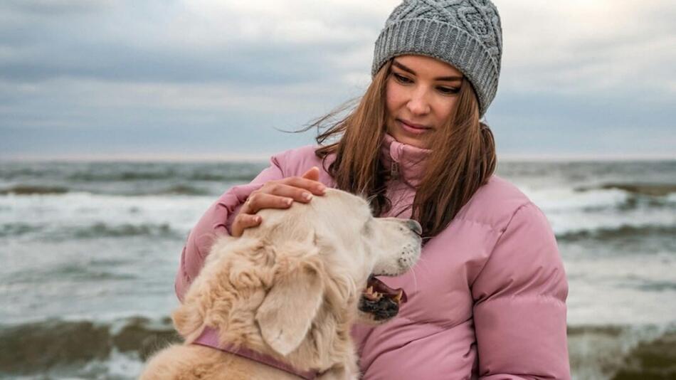 Darum solltest Du jetzt mit Deinem Hund ans Meer.