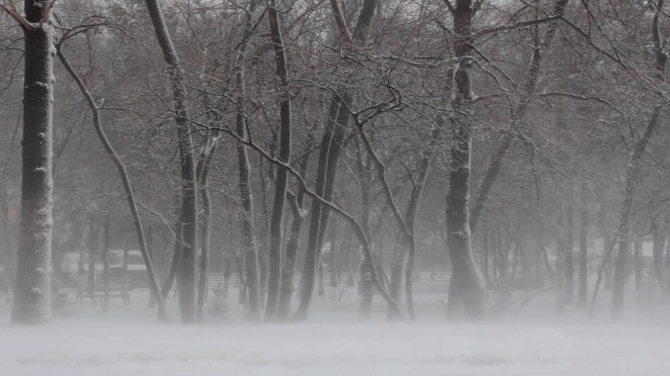 Deutschland: Arktische Kälte bis minus 15 Grad