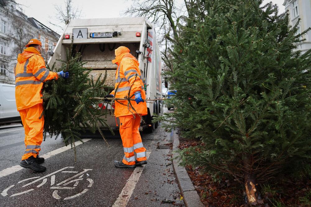 Stadtreinigung sammelt Weihnachtsbäume ein