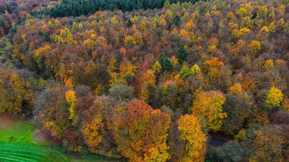 Landtag debattiert über Aus für zweiten Nationalpark