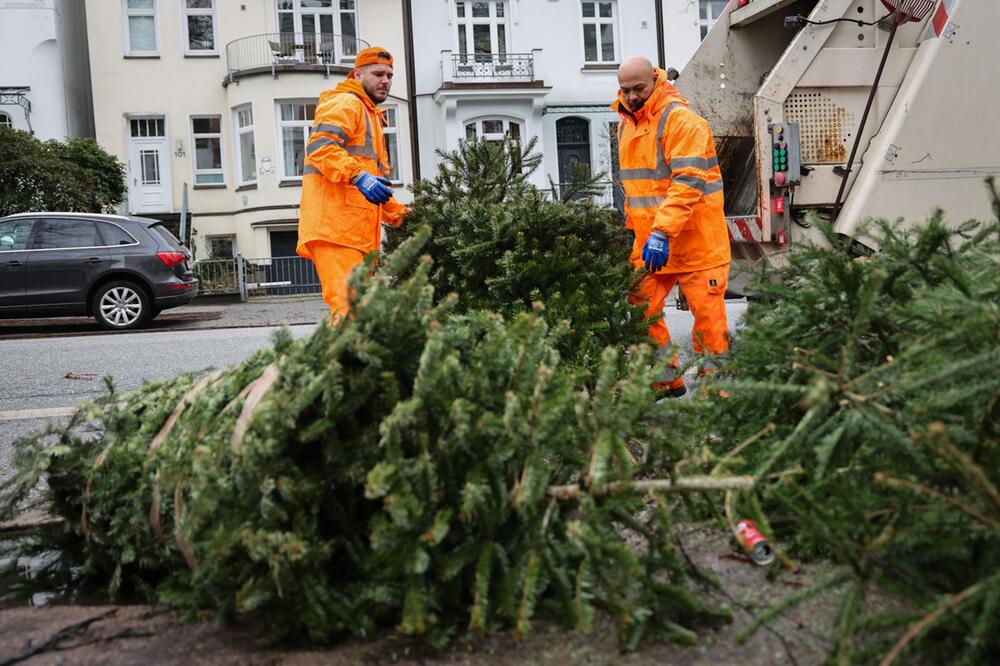 Stadtreinigung sammelt Weihnachtsbäume ein