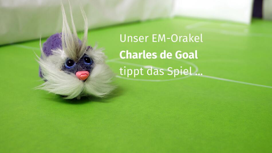 Orakel Finale POR-FRA