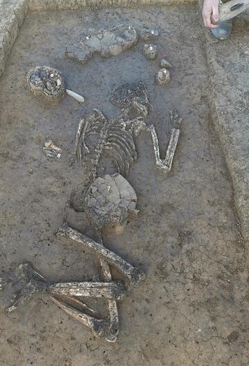 Ein 6800 Jahre altes Skelett ist in Exing in Niederbayern entdeckt worden