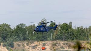 Waldbrand Gohrischheide
