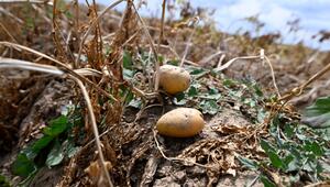 Wetter in Nordrhein-Westfalen - Landwirtschaft