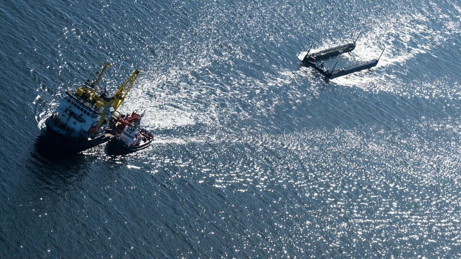 "Es geht ihm gut": Hoffnung für geretteten Wal – doch Fachleute widersprechen