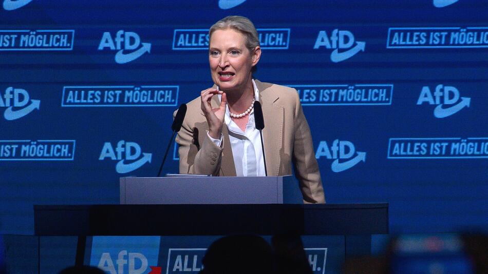 Das sagen Arbeitgeber und Industrie zur AfD