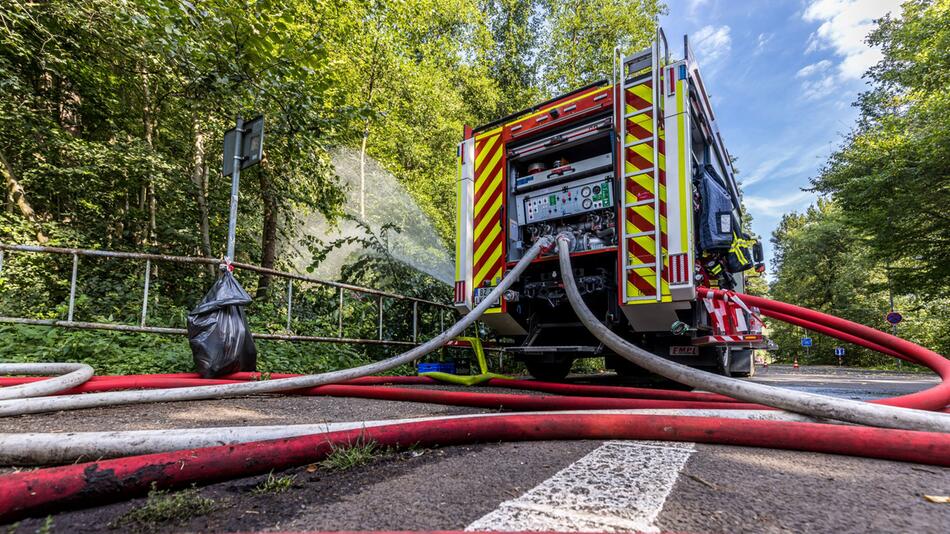 Waldbrand im Nationalpark Böhmische Schweiz