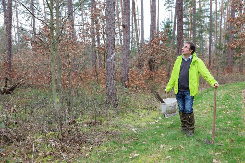 Die Zukunft der Wälder