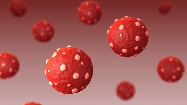 Hantavirus