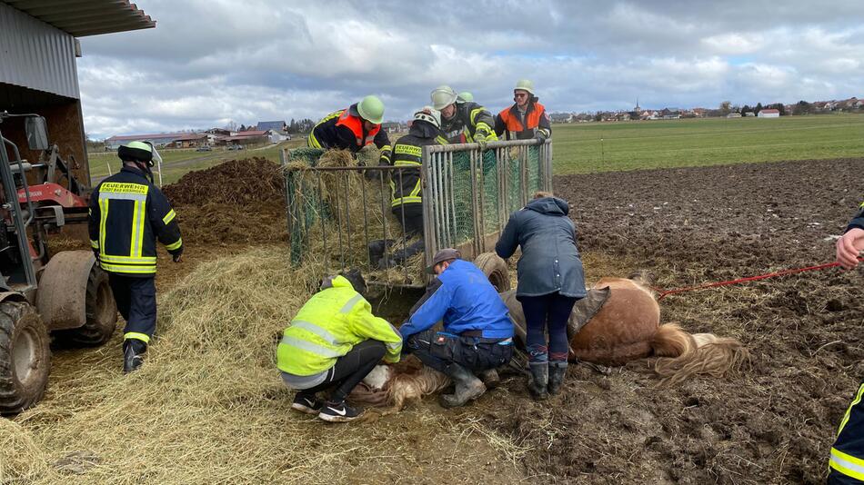 Das Pferd macht den Kräften die Rettung schwer.