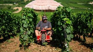 Arbeit bei Hitze