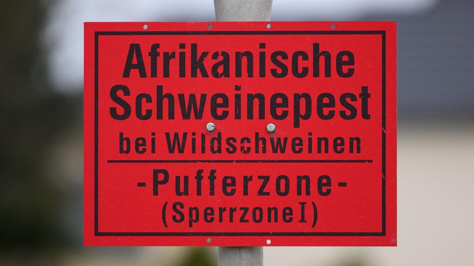 Tierseuchenübung zur Afrikanischen Schweinepest