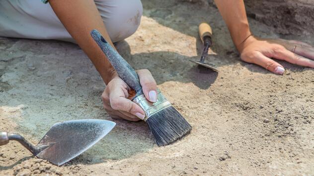 Dinosaurier in China entdeckt