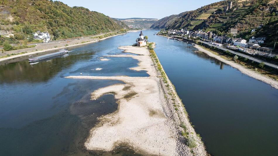Niedrigwasser Am Rhein Was Schifffahrt Und Natursch tzer Fordern GMX niedrigwasser-am-rhein-was-schifffahrt-und-natursch-tzer-fordern-gmx