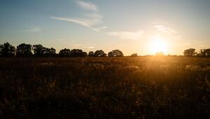 Sonnenuntergang bei spätsommerlichen Temperaturen in Brandenburg.