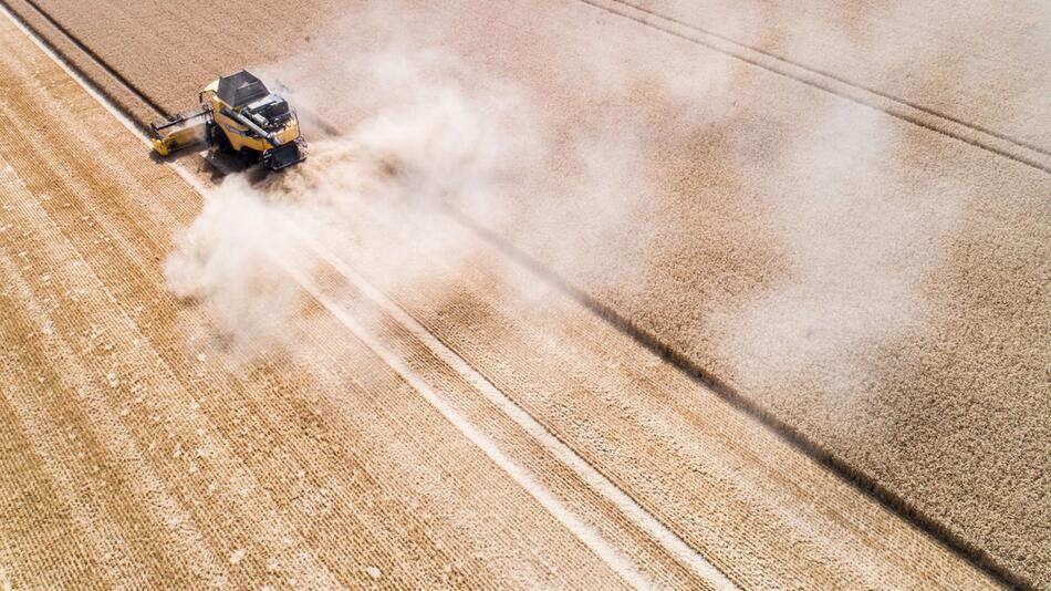 621 Millionen Euro für Niedersachsens Landwirtschaft ausgezahlt