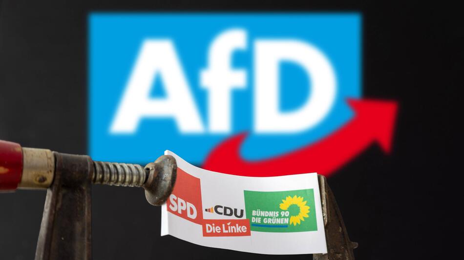 Politologe erklärt eine Fehlannahme von AfD-Wählern