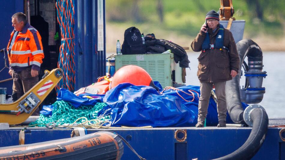 Backhaus: Wal "fühlt sich wirklich pudelwohl"