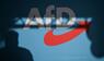 AfD Parteilogo