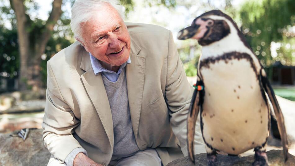 David Attenborough: "Ich bin komplett überwältigt"
