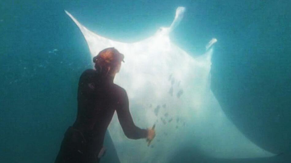 Mantarochen