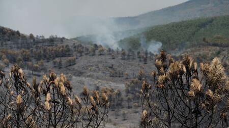 Großer Waldbrand bei Madrid außer Kontrolle
